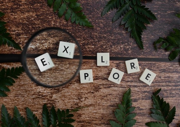 Understanding Seekde: A Comprehensive Guide to Its Features, Benefits, and More
